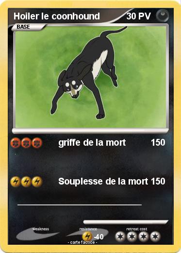 Pokemon Hoiler le coonhound