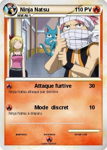 Pokemon Ninja Natsu