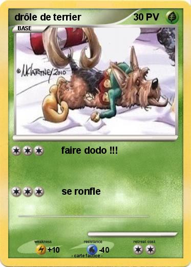 Pokemon drôle de terrier