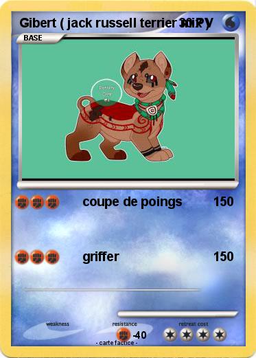 Pokemon Gibert ( jack russell terrier mix )