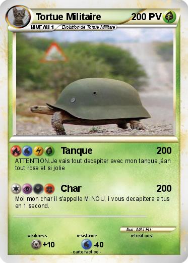 Pokemon Tortue Militaire