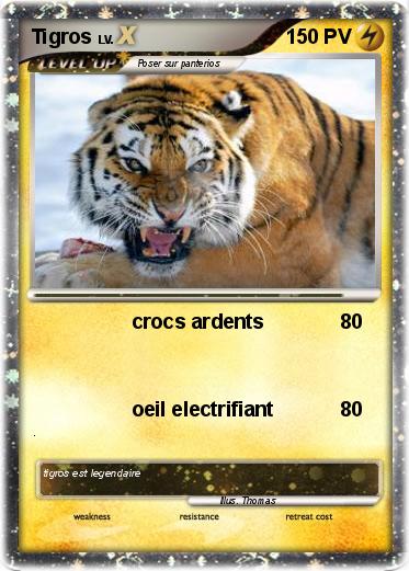 Pokemon Tigros