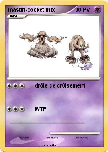 Pokemon mastiff-cocket mix