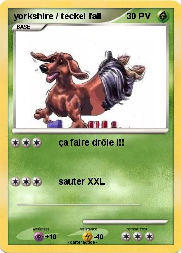 Pokemon yorkshire / teckel fail