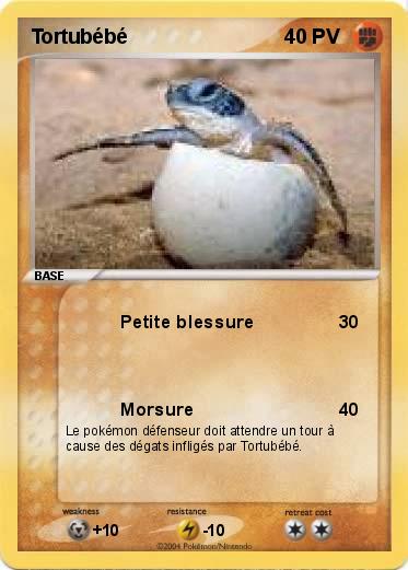 Pokemon Tortubébé