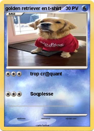 Pokemon golden retriever en t-shirt