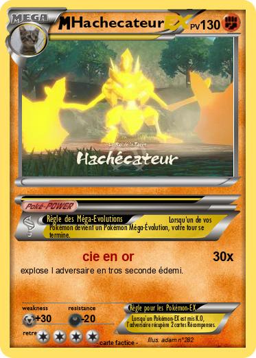 Pokemon Hachecateur