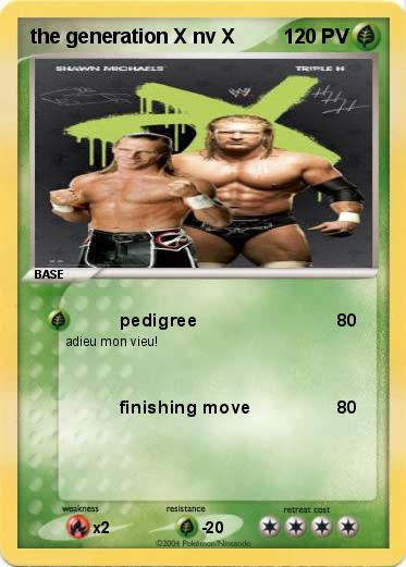 Pokemon the generation X nv X