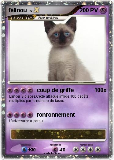 Pokemon félinou