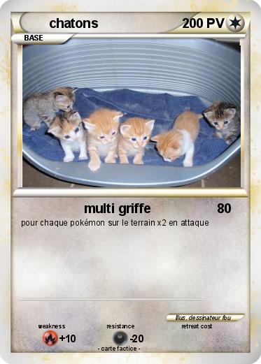Pokemon chatons