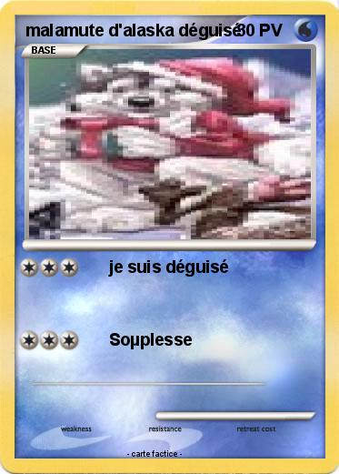 Pokemon malamute d'alaska déguisé