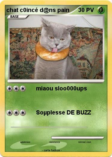 Pokemon chat c0incé d@ns pain