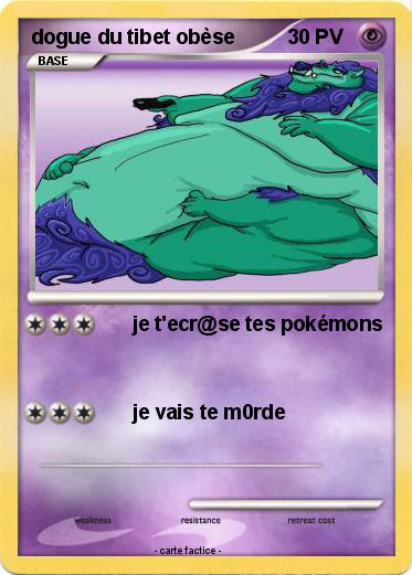 Pokemon dogue du tibet obèse