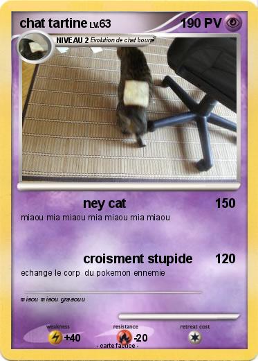 Pokemon chat tartine