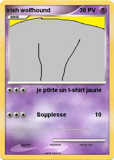 Pokemon irish wolfhound