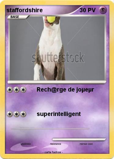 Pokemon staffordshire