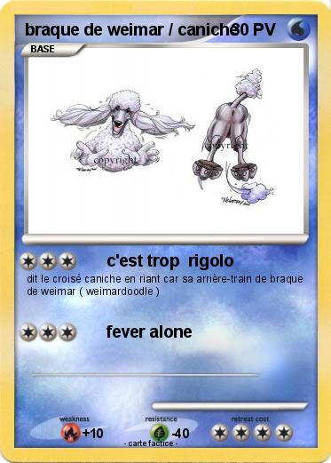 Pokemon braque de weimar / caniche