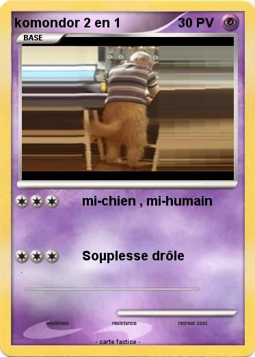 Pokemon komondor 2 en 1