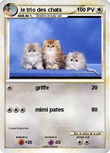 Pokemon le trio des chats