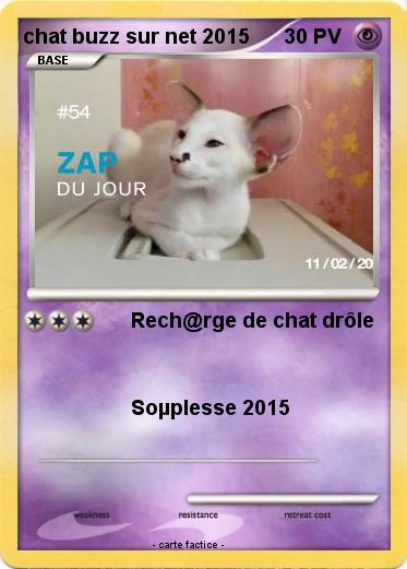 Pokemon chat buzz sur net 2015