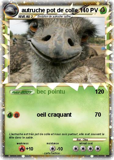 Pokemon autruche pot de colle