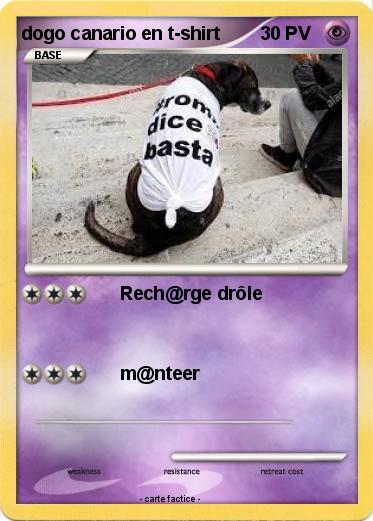 Pokemon dogo canario en t-shirt