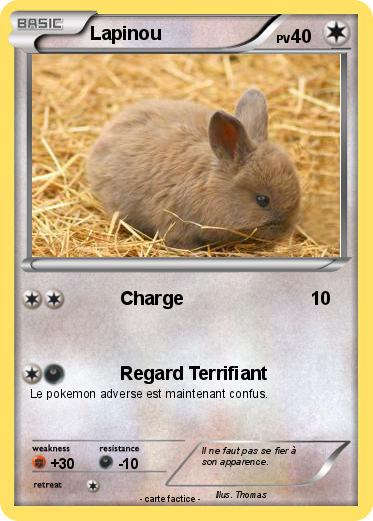 Pokemon Lapinou