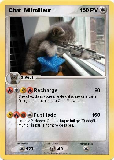 Pokemon Chat  Mitrailleur