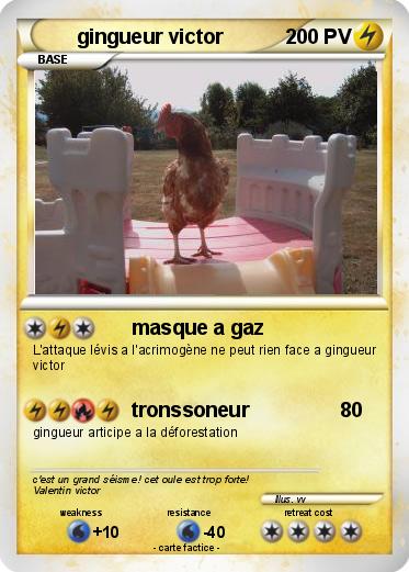 Pokemon gingueur victor