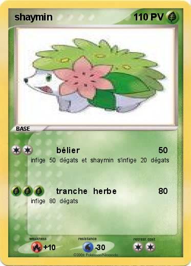 Pokemon shaymin