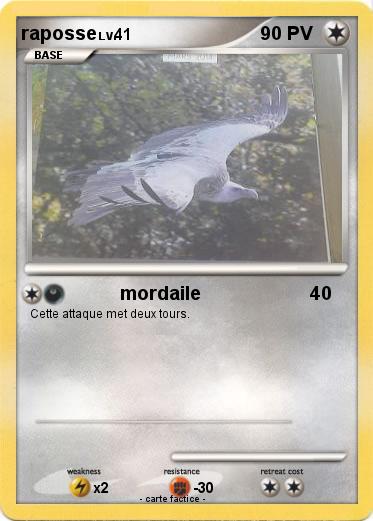 Pokemon raposse