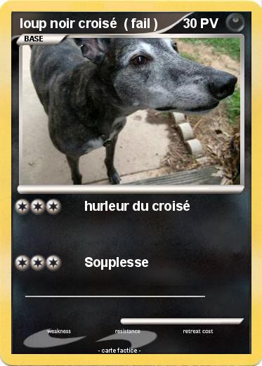 Pokemon loup noir croisé  ( fail )