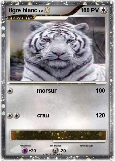 Pokemon tigre blanc