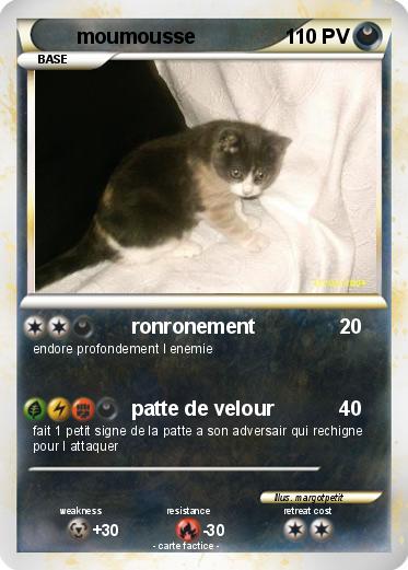 Pokemon moumousse