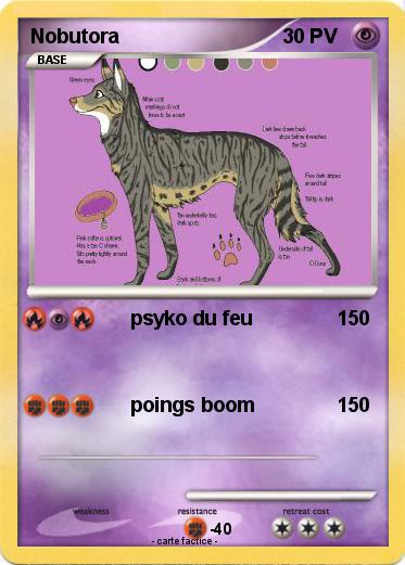 Pokemon Nobutora