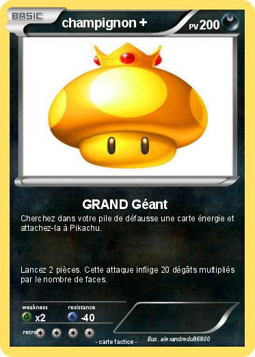 Pokemon champignon +