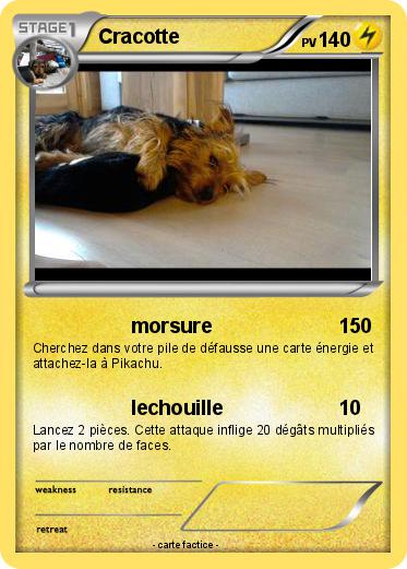 Pokemon Cracotte
