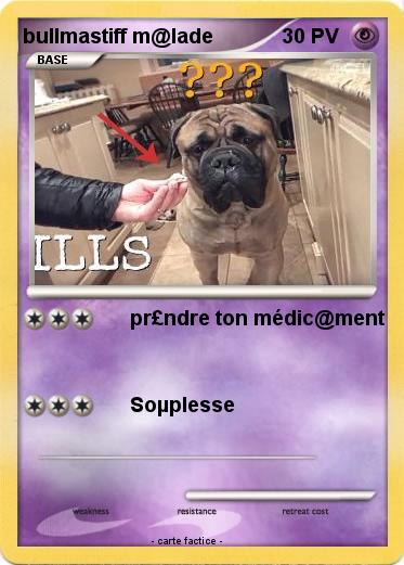 Pokemon bullmastiff m@lade