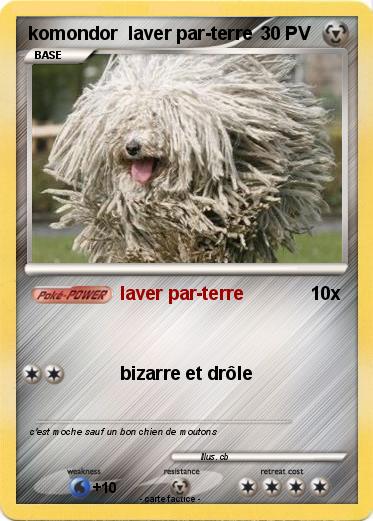 Pokemon komondor  laver par-terre