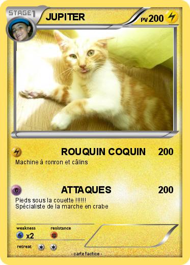 Pokemon JUPITER