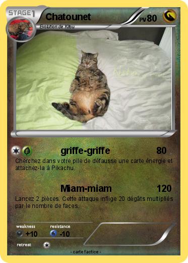 Pokemon Chatounet