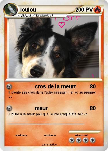 Pokemon loulou