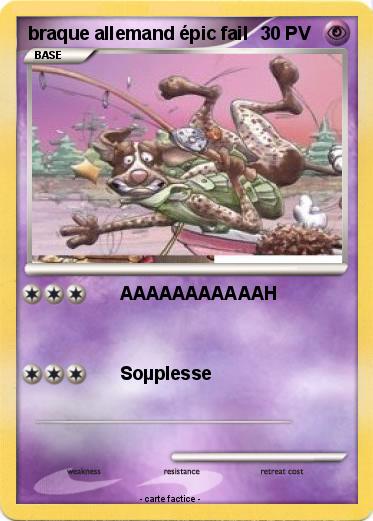 Pokemon braque allemand épic fail