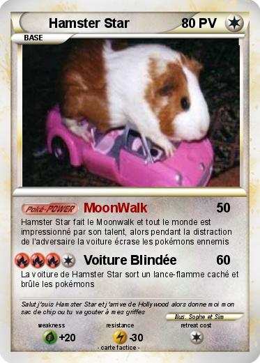 Pokemon Hamster Star