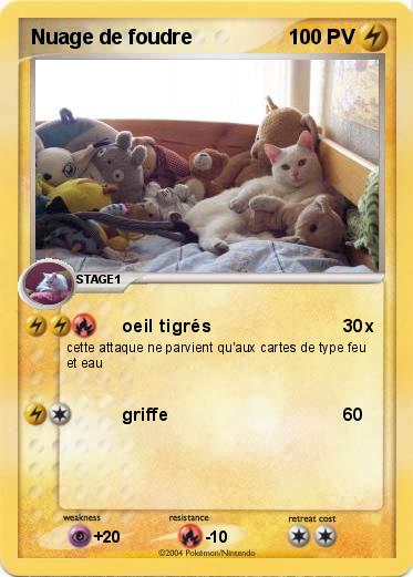 Pokemon Nuage de foudre