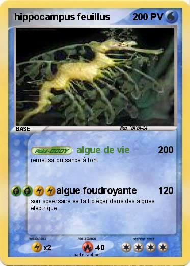 Pokemon hippocampus feuillus