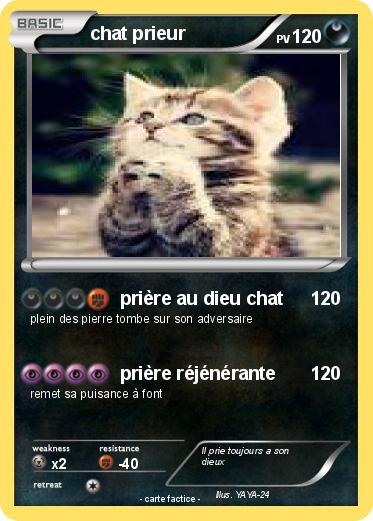 Pokemon chat prieur