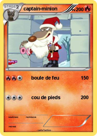Pokemon captain-minion