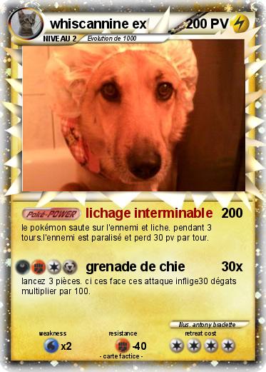 Pokemon whiscannine ex
