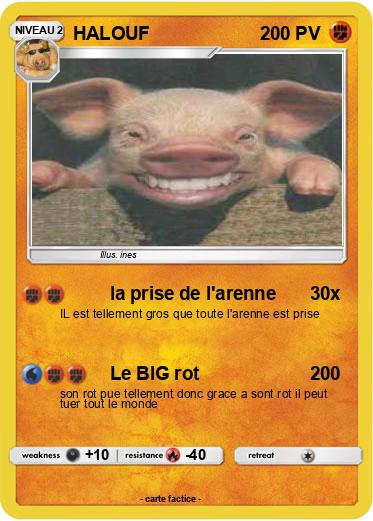 Pokemon HALOUF